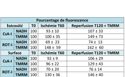 Tableau 2 : Intensité et surface de fluorescence du NADH et TMRM en  présence de CsA et de Rot à l’ischémie 