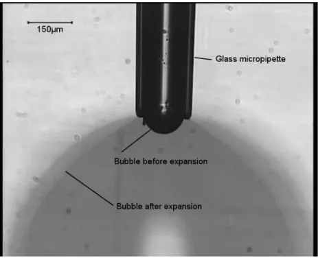 Figure 5: View of a bubble growth instability. The image has been recorded at 25fps on a CCD camera