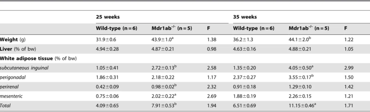 Figure 2. Morphological comparison and liver lipid content in wild type and mdr1ab -/- males