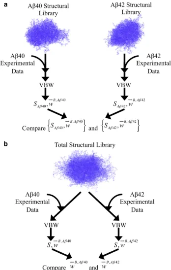 FIGURE 2 (a) Ensembles for Ab40 and Ab42 could be constructed inde- inde-pendently, using different structural libraries, but comparing the resulting ensembles requires the difficult task of identifying important features, a priori