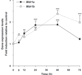 Fig. 2. Time-dependent effects of ivermectin on Mdr1a and Mdr1b mRNA levels.