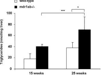 Figure 4. Influence of high fat diet (HFD) on hepatic triglyceride concentrations in wild-type and mdr1ab -/- mice.