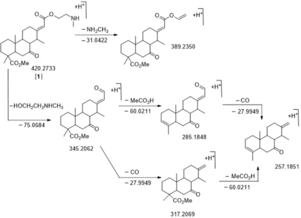 Figure 4. Fragmentation pattern of C 24 H 37 NO 5 m/z 420.2733 RT = 16.97 min, nor-cassamine [A1]