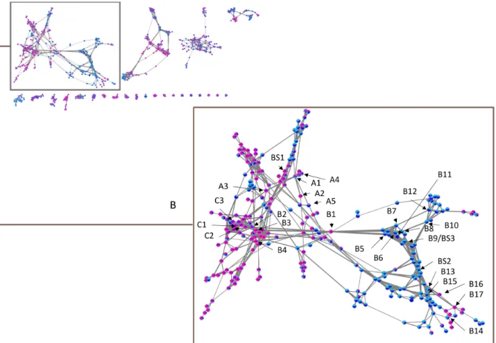 Figure S1). Moreover, fragments at m/z 345.2608 (M-C 3 H 9 NO), corresponding to the N- N-methyl arm loss, m/z 317.2161 (M-C 3 H 9 NO-CO), m/z 285.1787 (M-C 3 H 9 NO-CH 3 COOH), m/z 267.1682 (M-C 3 H 9 NO-CH 3 COOH-H 2 O), and m/z 257.1853 (M-C 3 H 9 NO-CH