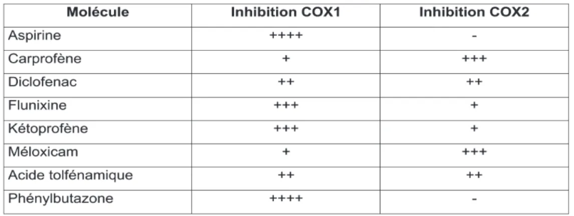 Tableau 5: Anti-inflammatoires non stéroïdiens disponibles pour l’usage vétérinaire  et activités  inhibitrices sur COX1 et COX2 (Bishop, 1998)