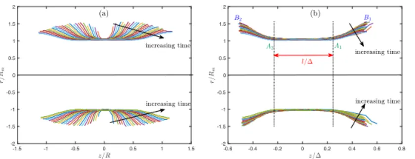 FIG. 9. Successive profiles of the bridge in the case of a water (same case as fig. 3)