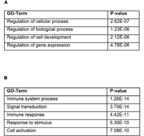 Table 2. Enrichment analysis of genes differentially expressed in EB9-D18 as compared to EB20-D18 cells