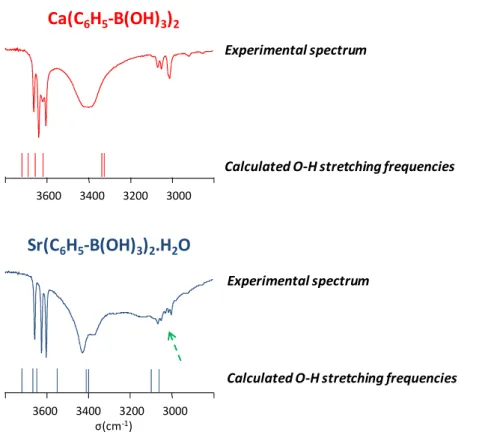 Figure 11. Portion of the experimental IR spectra of the Ca-phenylboronate and Sr-phenylboronate  monohydrate phases, and representation of the DFT-calculated O-H stretching frequencies for these  structures