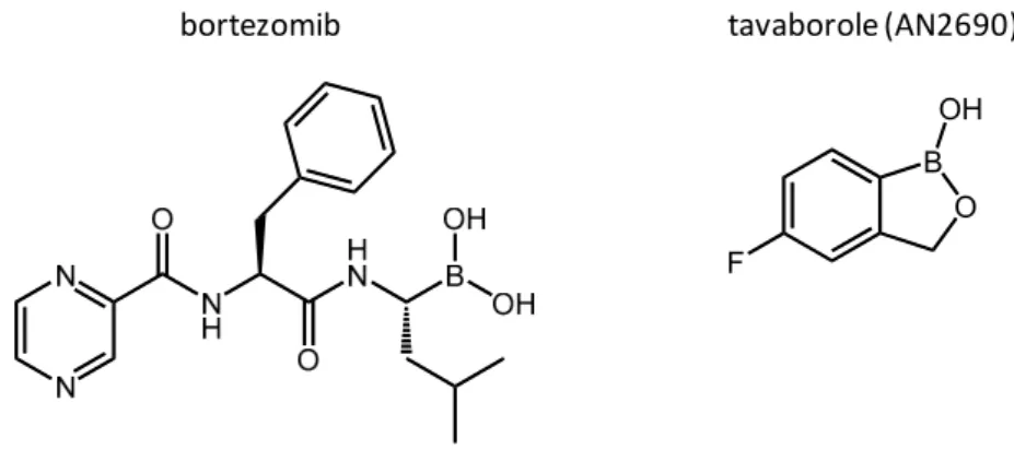 Figure 1. Representation of the structures of two organoboron drugs commercialized for their anti- anti-cancer (left) and antifungal (right) properties