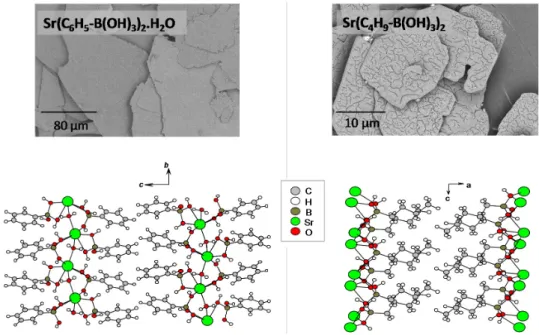 Figure 4. SEM images and crystal structures of Sr(C 6 H 5 -B(OH) 3 ) 2 .H 2 O (left) and Sr(C 4 H 9 -B(OH) 3 ) 2