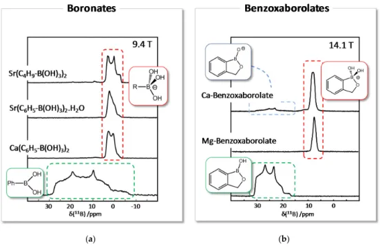 Figure 9.  11 B solid state NMR spectra of alkaline-earth metal boronates (a) and benzoxaborolates (b),  as well as for the corresponding boronic acid and benzoxaborole