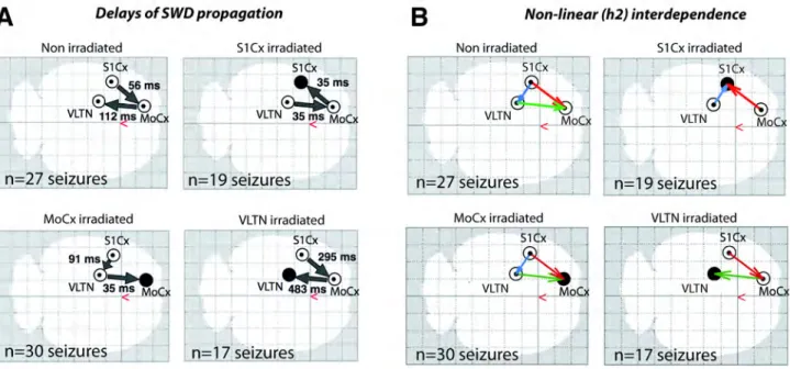 Figure  S3  (A)  IntMRT  changed  the  sequence  of  SWD  propagation  in  the  three  implanted  brain  areas