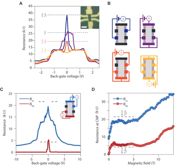 FIG. 3. Non-local helical edge transport. (A) Two-terminal resistance versus back-gate voltage measured at 2.5 T for different contact configurations schematized in (B)