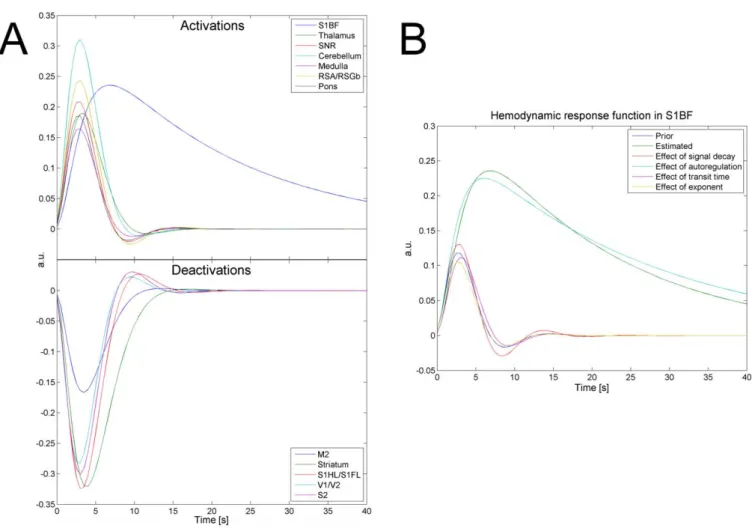 Figure 3. Hemodynamic Response Functions of (De)activated Structures during SWDs