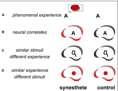 Figure 1D). At least two of these comparisons (three possible combinations) should be convergent in order to identify a  can-didate area as a neural substrate of the synesthetic experience.