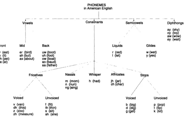 Figure  2-2:  Phonemes  in  spoken  American  English