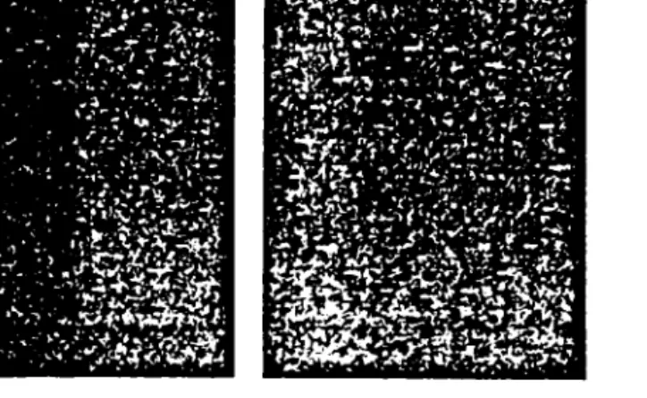 Fig. 4 shows the hyperfine structure of the Na Dl line recorded by scanning the frequency of our dye I.
