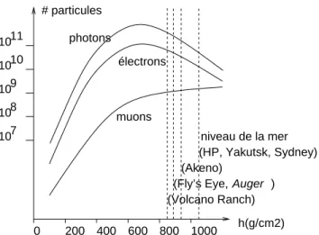 Fig. 4.2: Profils longitudinaux d’une gerbe verticale provoqu´ee par un proton de 100 EeV.