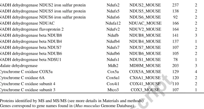 Table  2:  Mitochondria  from  MPTP  treatd  mice    at  day  7  are  submitted  to  severe  mitochondrial glutathione-dependent oxidative stress