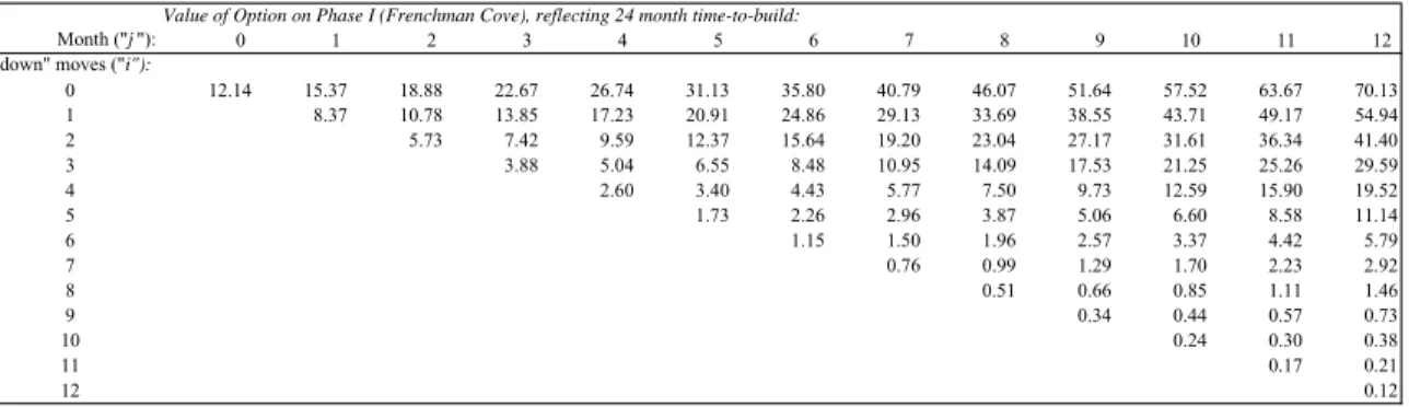 Table  4.4: Option value of the RHP Phase I (only the first 12 months are shown to  conserve space.) 