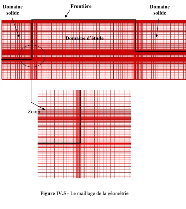 Figure IV.5 - Le maillage de la géométrie   Zoom Frontière Domaine d’étude  Domaine solide Domaine solide 