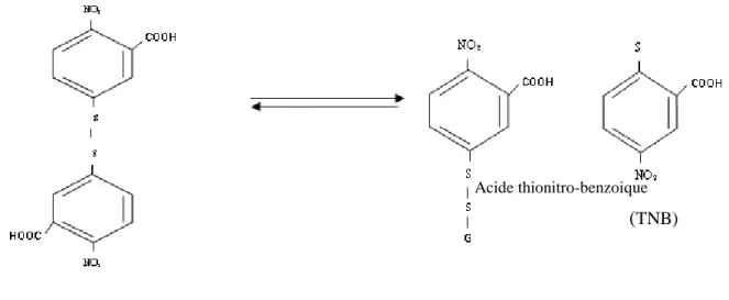 Figure 12: Reaction d’Ellman 