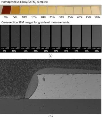 Figure  7.  2D  reconstruction  of  the  SrTiO 3   particle  concentration  distribution  within  and  around  the  accumulated  layer