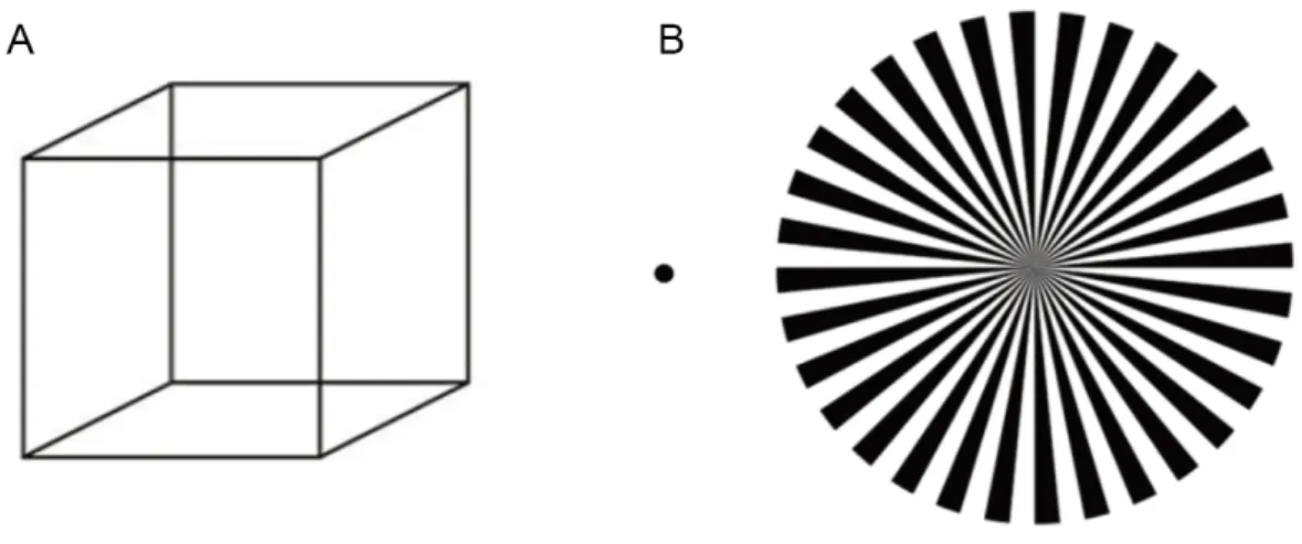 Figure 1-1 (A) Necker cube. When looking at the cube, the perception of its morphology continuously  changes, sometimes the inside bottom-left corner comes out to the front