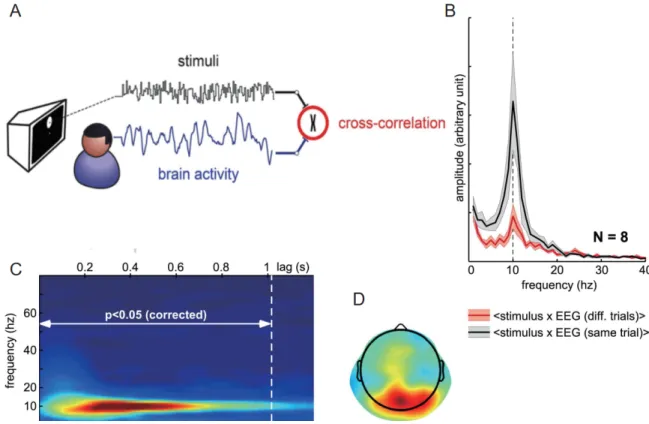 Figure 1-7 Perceptual echoes measurement procedure and the properties of the echoes. (A) A subject  is  viewing  a  disc  whose  luminance  fluctuates  randomly  with  the  EEG  signal  being  recorded