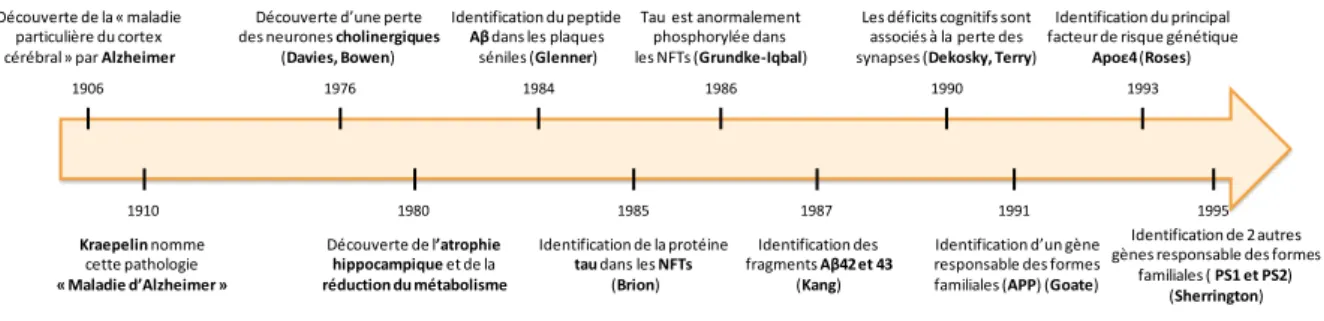 Figure 2 : Principales découvertes concernant la  maladie d'Alzheimer au cours du XX ème  siècle (liste  non exhaustive) 