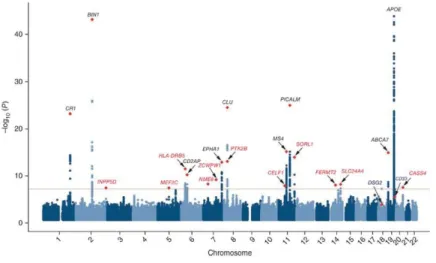 Figure 4 : Manhattan plot des SNPs découverts par les études d’association pangénomique, GWAS