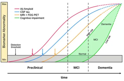 Figure 5 : Evolution des différents biomarqueurs de la MA au cours des trois stades de la pathologie
