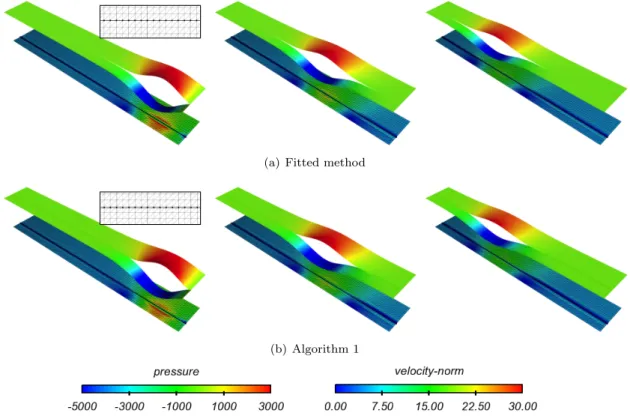 Figure 14 shows some snapshots of the elevated pressure field at three different time instants obtained with an implicit fitted method and Algorithm 1