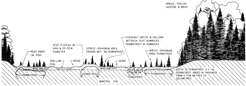 Figure 2. Profile through typicalpeatland  in  southern fringe of  discontinuous zone showing interaction of  permafrost and  terrain factors  ( B R L  83)