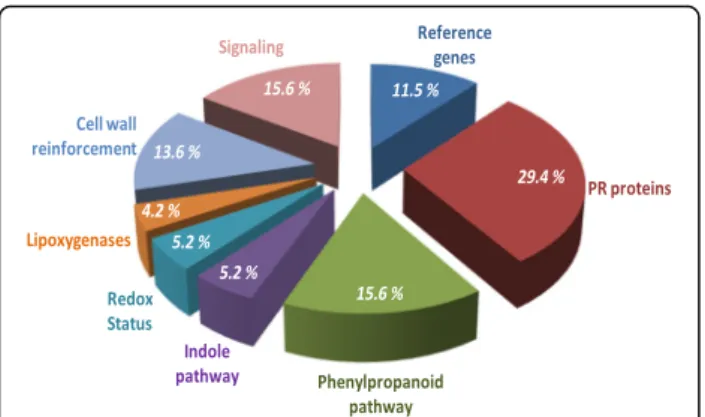 Fig. 1 Function of genes analyzed using the “ NeoViGen96 ” chip The