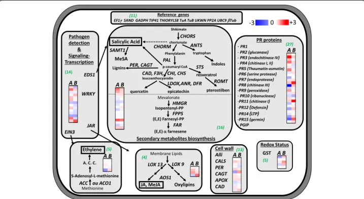 Fig. 7 “ Heatmap ” representing relative expression of genes in Log 2 transformations