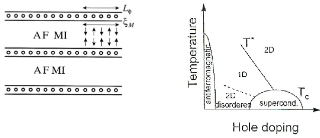 Figure 19 : A gauche, formation des rubans des charges, séparés par des régions antiferromagnétiques d'un  isolant de Mott (AFMI) [103]