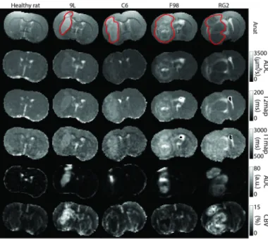 Fig. 3. MRI maps -ADC, T2, T1, AUC, CBV- associated to the central slice for one rat of each group (from the data set Y )