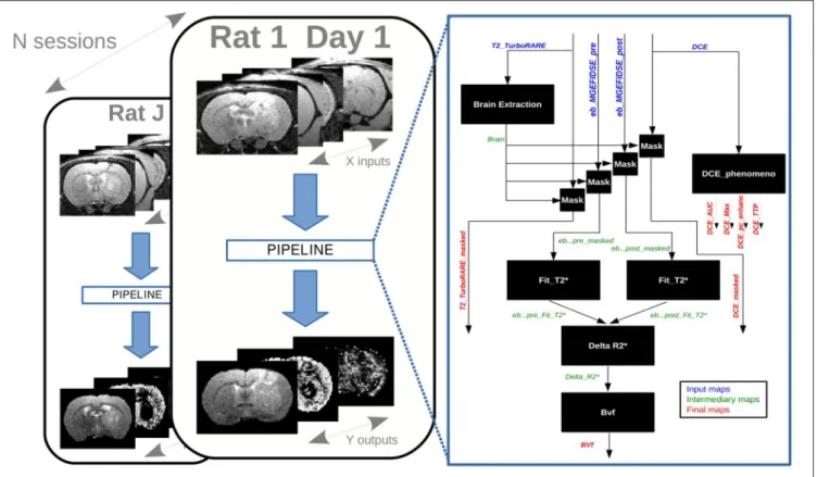 FIGURE 3 | Preclinical study: occurrences of a pipeline on a database.