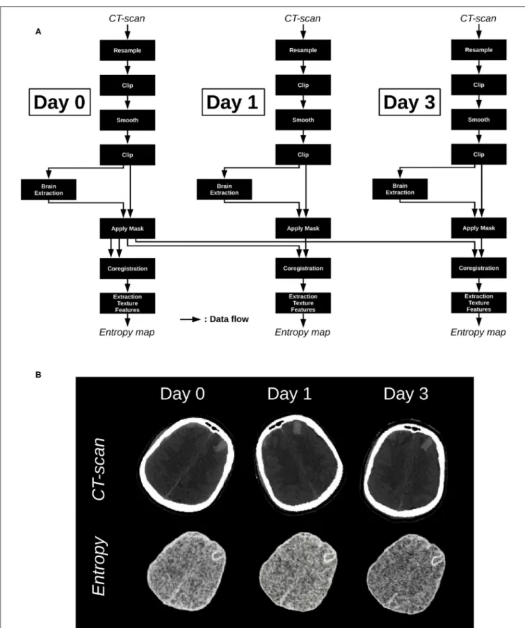 FIGURE 4 | (A) Processing pipeline applied on the images acquired at day 0, day 1, and day 3