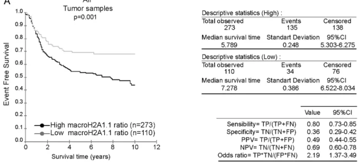 Figure 5. Kaplan Meier analysis according to the macroH2A1.1 mRNA ratio. A- The 383 TNBC samples from the GSE31519 cohort were stratified according to the macroH2A1.1/macroH2A1 mRNA ratio