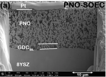 Fig. 10. FIB-SEM micrographs of PNO//GDC BL //8YSZ after 1800 h of ageing at 700 