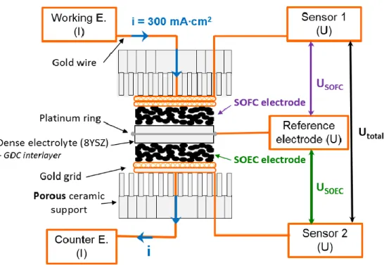 Fig. 1. EIS setup describing the three electrodes measurement configuration. 