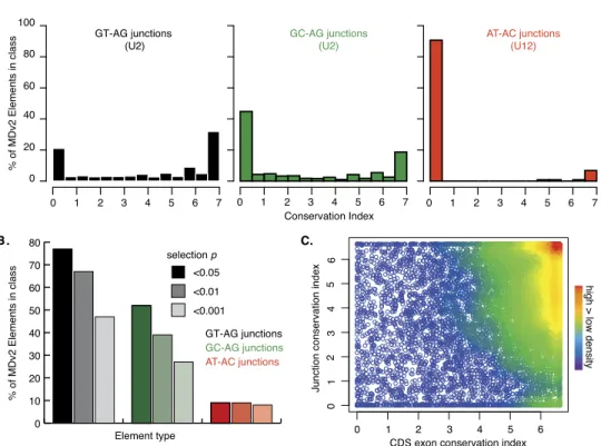Figure 7. RNA splicing conservation. (A) Frequency of CI scores for MDv2 annotated GT-AG (black) and GC-AG (green) splice junctions (recognized by U2 spliceosomes) and AT-AC splice junctions (red) (recognized by U12 spliceosomes)