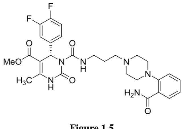 Figure 1.5  I.2.2. Réaction de Strecker  