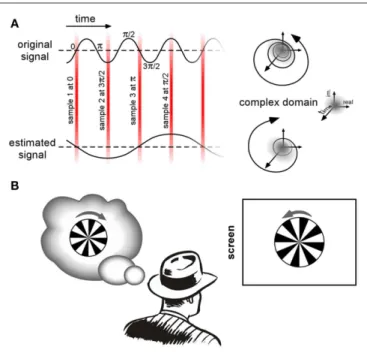 Figure 2 | Temporal aliasing. (A) Concept. Sampling a temporal signal using  too low a sampling rate leads to systematic errors about the signal, known as 
