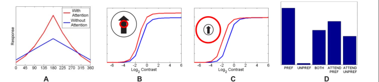 Figure 3: Replication of previous results [8]. A) Stimuli of varying orientations are presented to a cell tuned to respond optimally to stimuli oriented at 180  degrees
