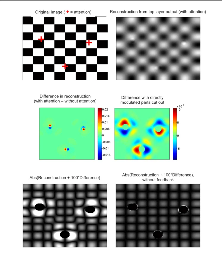 Figure 6. Results of the model using an actual image as input. The input image is a simple checkerboard; attention is focused on three different points within the  image (indicated by red crosses; note that we do not assume that attention can simultaneousl