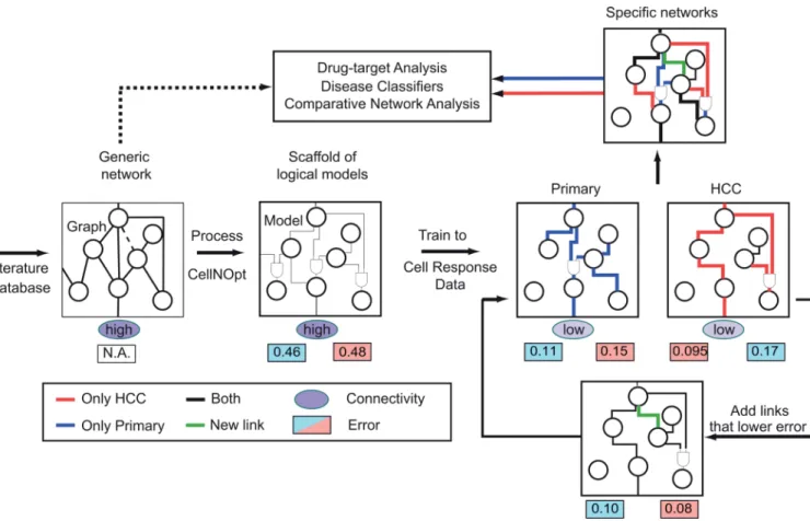 Figure 2. General workflow and goodness of fit of the cell-specific models