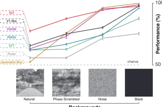 Figure 8. Effect of the background type on each representa- representa-tion’s performance on a basic level recognition task (“cars vs.